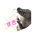 ふうちゃんスタンプ 4（個別スタンプ：6）