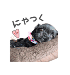 すーちゃんとぷぅちゃんスタンプ（個別スタンプ：11）