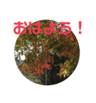 12月の野山（個別スタンプ：3）