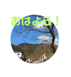 12月の野山（個別スタンプ：4）