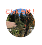 12月の野山（個別スタンプ：8）