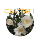 12月の野山（個別スタンプ：9）