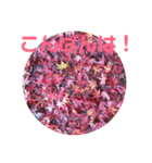 12月の野山（個別スタンプ：10）