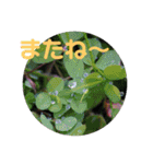 12月の野山（個別スタンプ：17）