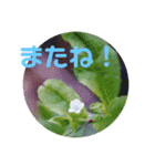 12月の野山（個別スタンプ：19）