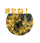 12月の野山（個別スタンプ：21）