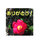 12月の野山（個別スタンプ：22）