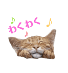 使いやすい♪にゃんこがお返事！（個別スタンプ：2）