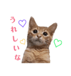 使いやすい♪にゃんこがお返事！（個別スタンプ：16）