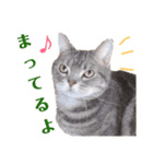 使いやすい♪にゃんこがお返事！（個別スタンプ：18）