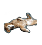クッキー(♀)のスタンプ（個別スタンプ：1）