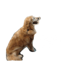 クッキー(♀)のスタンプ（個別スタンプ：12）