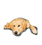 クッキー(♀)のスタンプ（個別スタンプ：13）