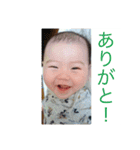 ちゃまちゃまたい（個別スタンプ：5）