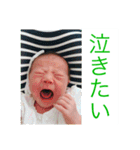 ちゃまちゃまたい（個別スタンプ：8）