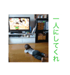ちゃまちゃまたい（個別スタンプ：9）