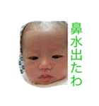 ちゃまちゃまたい（個別スタンプ：12）