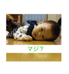 ちゃまちゃまたい（個別スタンプ：19）
