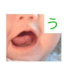 ちゃまちゃまたい（個別スタンプ：24）