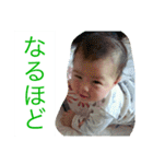 ちゃまちゃまたい（個別スタンプ：32）