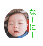 ちゃまちゃまたい（個別スタンプ：33）