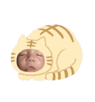 たろたろりん.1（個別スタンプ：34）