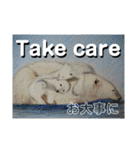 Greeting in English英語で【きょうじ獏】（個別スタンプ：8）