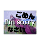 Greeting in English英語で【きょうじ獏】（個別スタンプ：13）