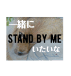 Greeting in English英語で【きょうじ獏】（個別スタンプ：27）