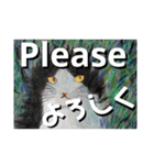 Greeting in English英語で【きょうじ獏】（個別スタンプ：32）