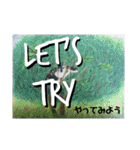 Greeting in English英語で【きょうじ獏】（個別スタンプ：33）
