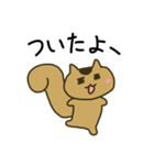 ゆるっともっちりリス（個別スタンプ：36）