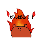 毎日くまさん（個別スタンプ：19）