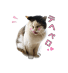 まもると愉快な仲間達（個別スタンプ：5）