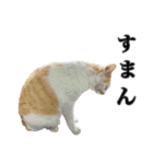 まもると愉快な仲間達（個別スタンプ：35）