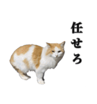 まもると愉快な仲間達（個別スタンプ：40）