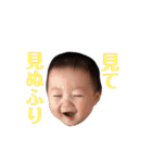 せいちゃんvol.1（個別スタンプ：25）