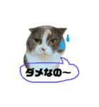 ねこのリリィ（個別スタンプ：15）