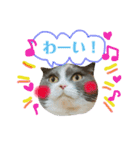 ねこのリリィ（個別スタンプ：26）