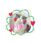 ねこのリリィ（個別スタンプ：27）