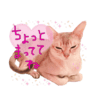 シンガプーラ2（個別スタンプ：5）