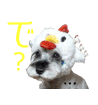 コビィの娘のチロちゃんよ（個別スタンプ：7）