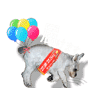 コビィの娘のチロちゃんよ（個別スタンプ：9）
