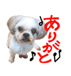 ききたんライフ②（個別スタンプ：34）