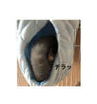 フクロモモンガのもんちゃん（個別スタンプ：7）