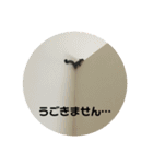 フクロモモンガのもんちゃん（個別スタンプ：10）
