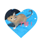 デグーの「ちくわ」（個別スタンプ：2）