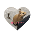 デグーの「ちくわ」（個別スタンプ：11）