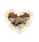 デグーの「ちくわ」（個別スタンプ：15）