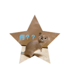 デグーの「ちくわ」（個別スタンプ：16）